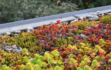 the cost of Silverknowes green roof installation