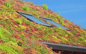 Silverknowes living roof systems