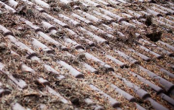 Silverknowes roof cleaning companies