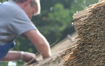 professional Silverknowes thatchers