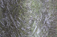 Silverknowes fibreglass roof work